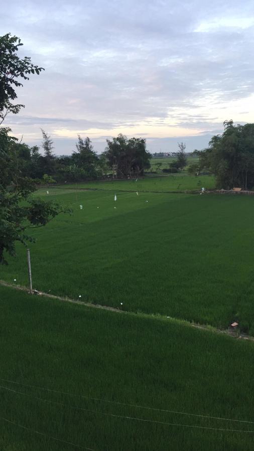 Bi'S House Homestay Hội An Kültér fotó